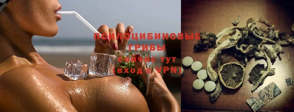 apvp Козловка