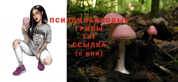 мдма Козельск