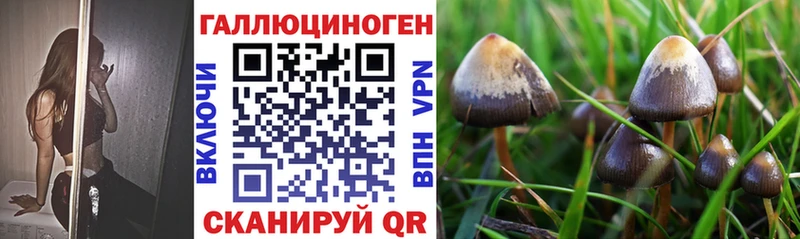 Псилоцибиновые грибы Magic Shrooms Купить где Новосибирск
